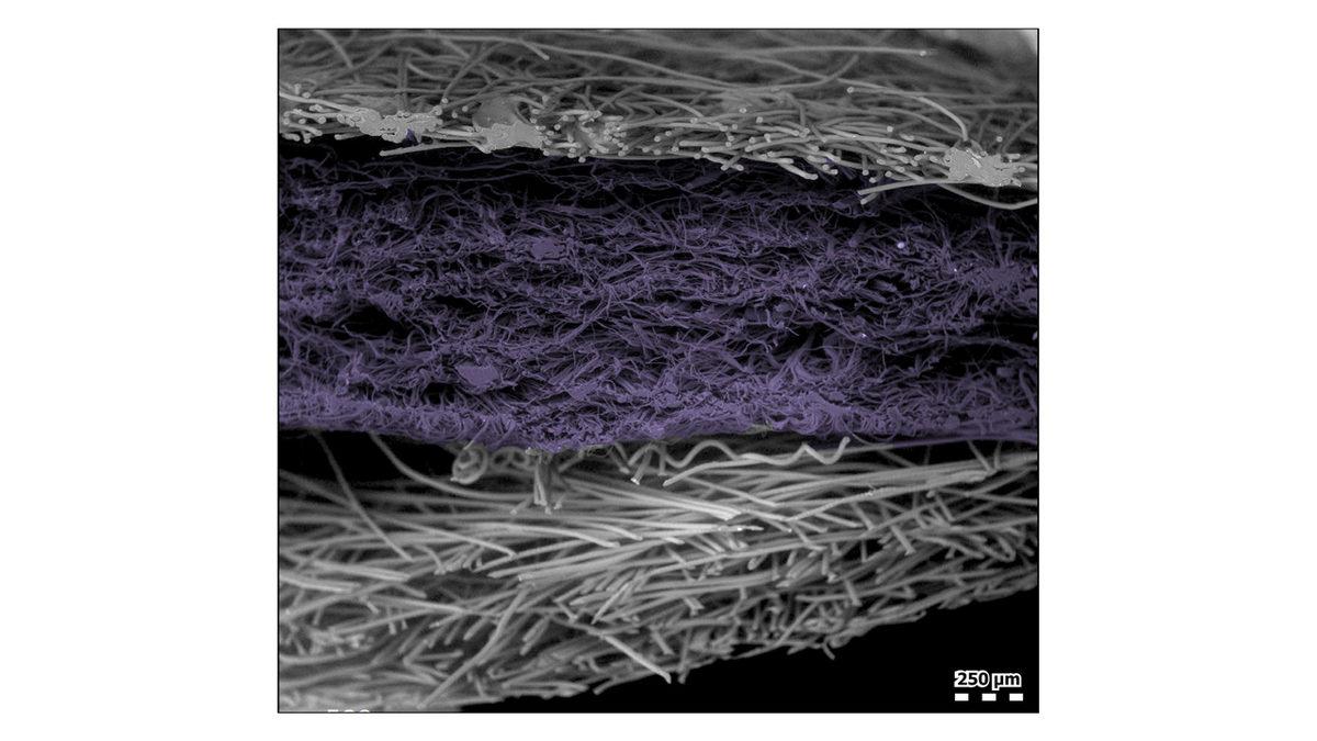 Bez Yüz Maskeleri Mikroskop Altında Nasıl Görünüyor?