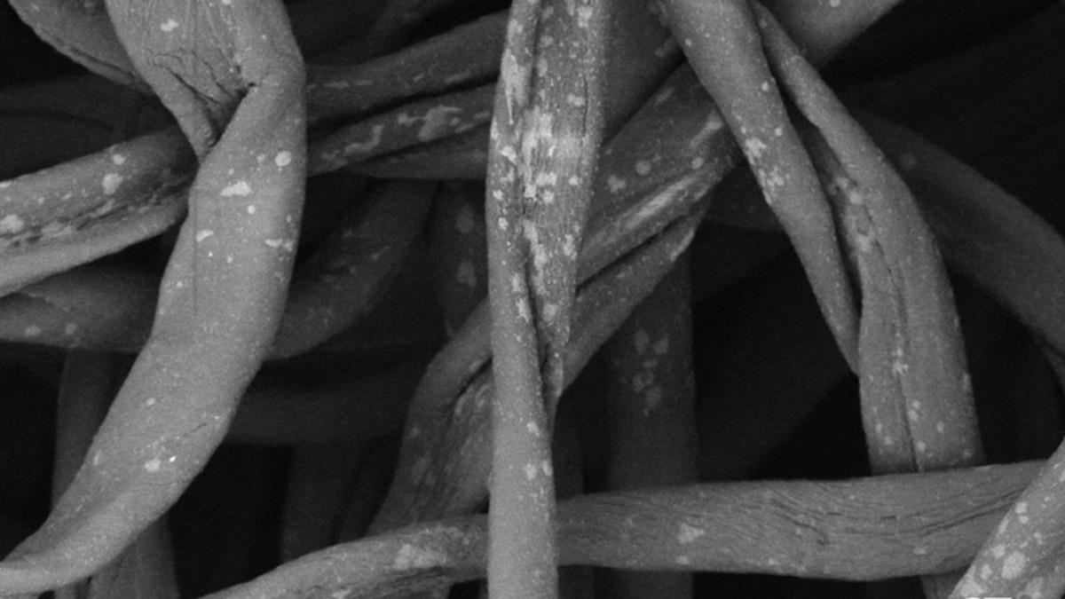 Bez Yüz Maskeleri Mikroskop Altında Nasıl Görünüyor?