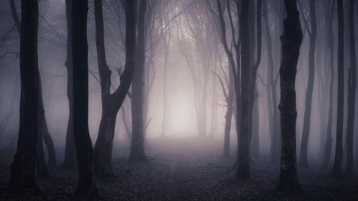 Sık Sık Kabus Görmenin Parkinson Hastalığının Erken Belirtilerinden Biri Olabileceği Açıklandı