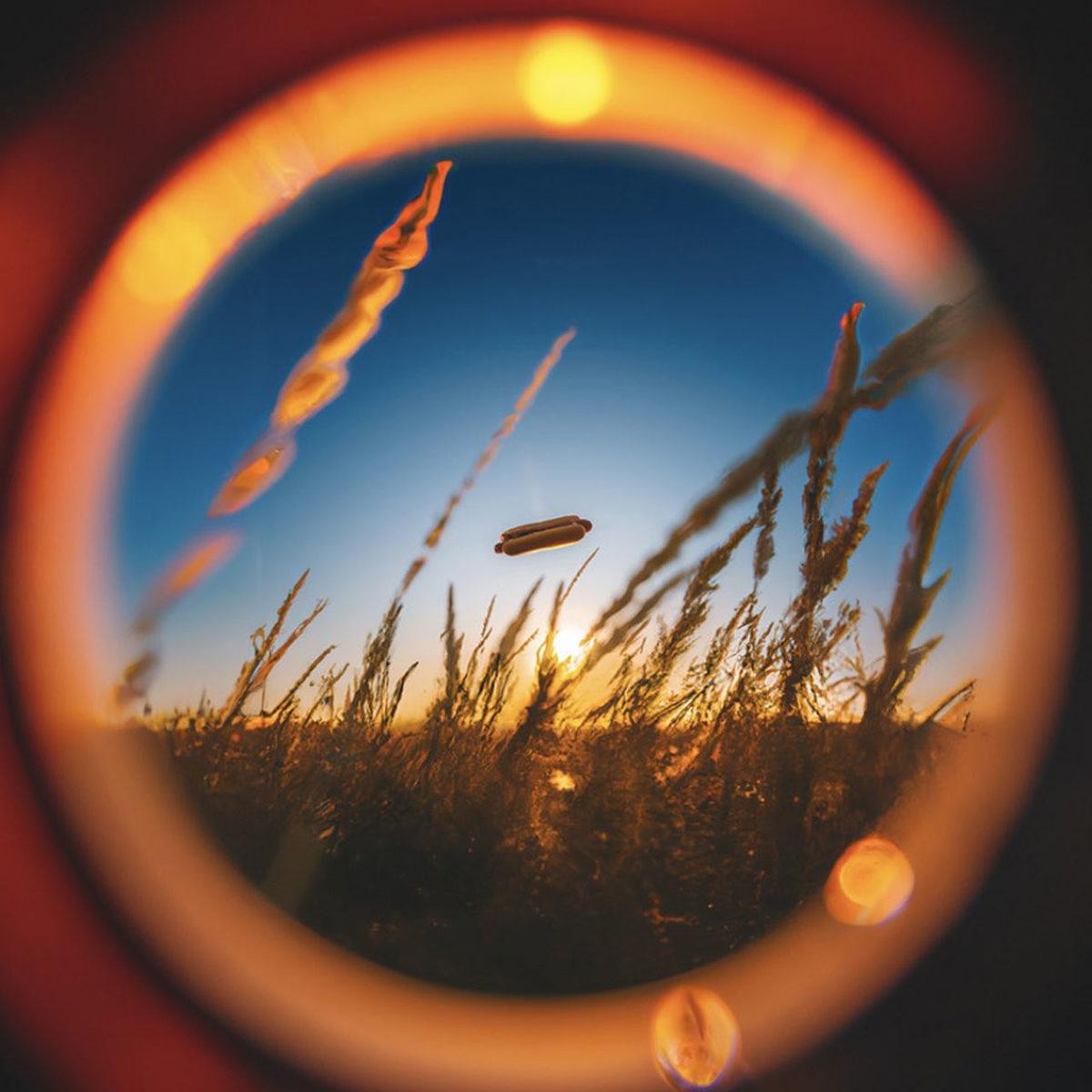 Metinleri Adeta Sanat Eserlerine Dönüştüren Yapay Zeka DALL-E’nin Hayran Kalacağınız Yeni Bir Yeteneği Keşfedildi