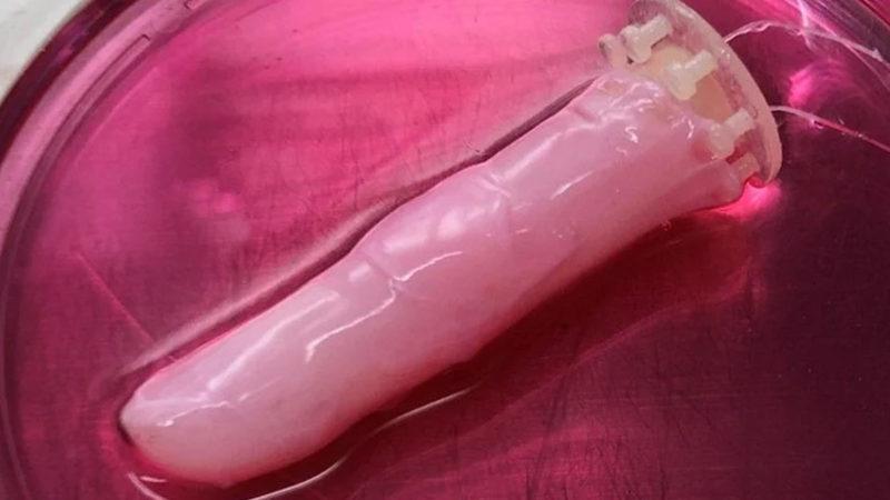 Gerçek İnsan Derisinden Cilde Sahip Robot Geliştirildi [Video]