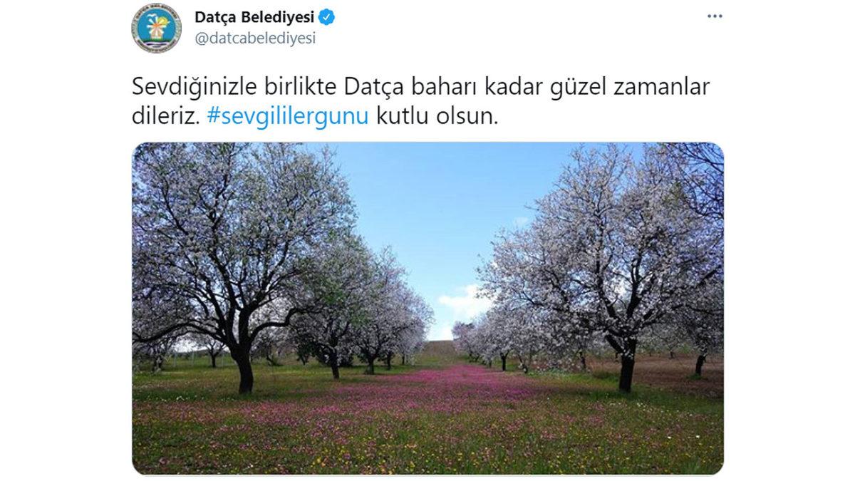 Datça Belediyesi, Bir Tweetini NFT Olarak Satışa Çıkardı: Geliri İhtiyaç Sahibi Kız Öğrencilere Bağışlanacak