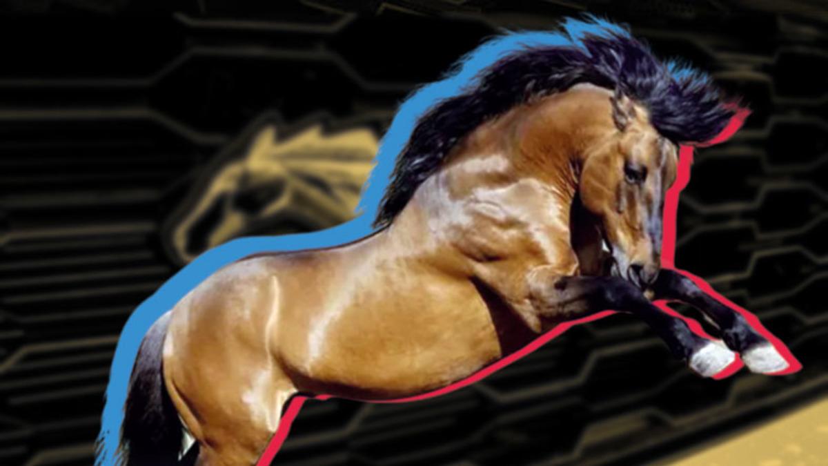 Efsane Araba Ford Mustang’in de Logosuna Taşıdığı Mustang Atlar Hakkında 10 İlginç Bilgi