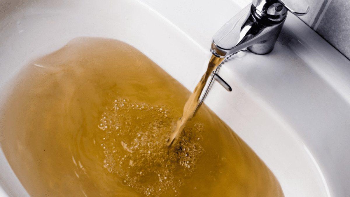 Asansördeki Garip Hareketleri Sonrası Su Tankında Ölü Bulunan Elisa Lam’ın Hikayesi