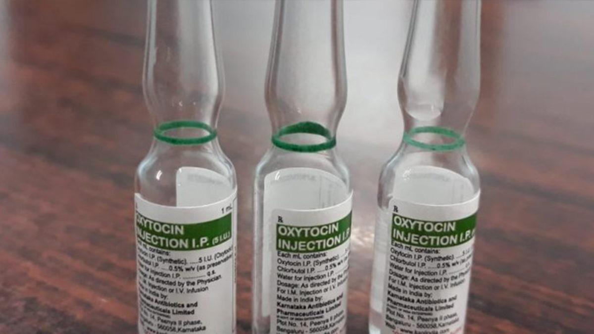 İlişkilerdeki Sorunları Giderebilecek Bir ‘Aşk İlacı’ Keşfedildi: Aşk İksiri Gerçek mi Oluyor?