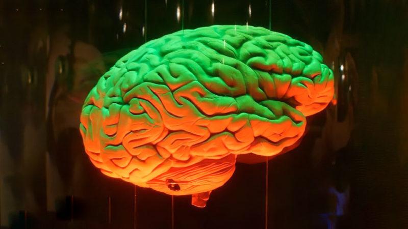 İnsan Beyninin İdeal Sıcaklığı Belli Oldu: Vücudumuz Gibi 36,5 Derece Değil!