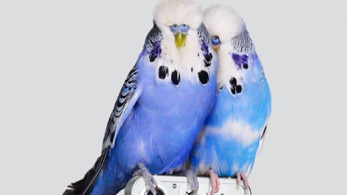 Yılın En Çok Merak Edilen Telefonlarından ‘Nothing Phone’dan İlk Tanıtım Görseli: iPhone ‘Çakması’ mı Olacak?