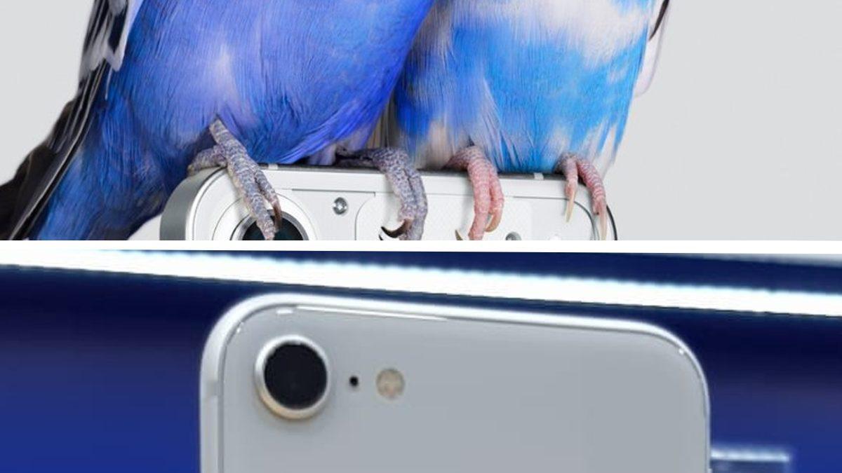 Yılın En Çok Merak Edilen Telefonlarından ‘Nothing Phone’dan İlk Tanıtım Görseli: iPhone ‘Çakması’ mı Olacak?