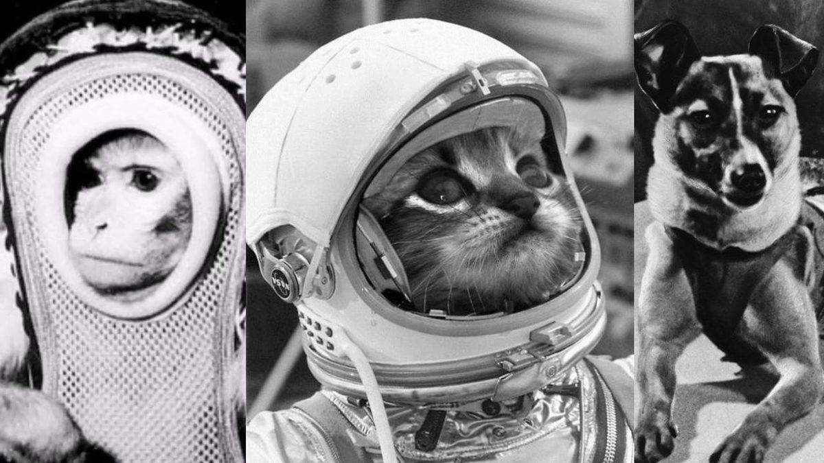 Bilmediği Şey Olmayanları Bile Zorlayacak Bu Genel Kültür Sorularından Kaçını Doğru Bileceksin?