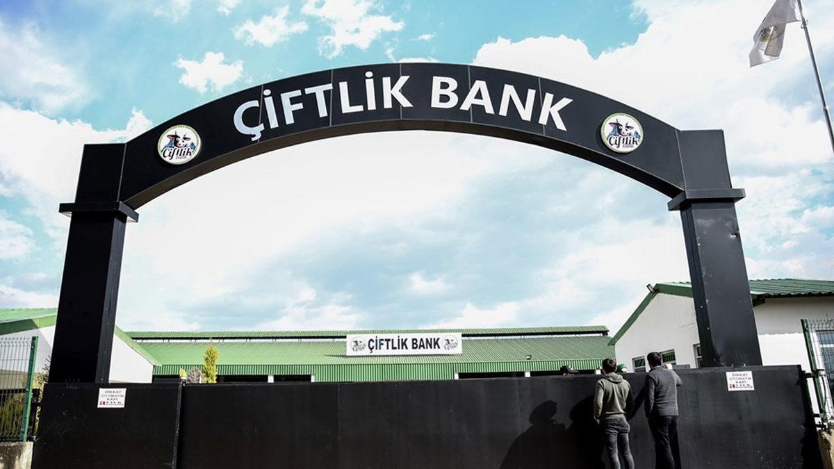 Çiftlik Bank Mağduru Olduğunu Söyleyerek Yatırdığı Paradan Daha Fazlasını Geri Alan Fırsatçılar Ortaya Çıktı