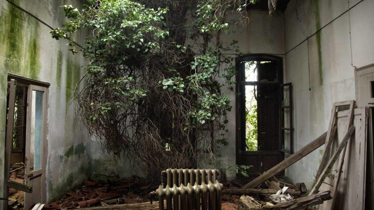 Ziyaret Etmenin Yasak Olduğu, Binlerce İnsana Mezar Olan ’Hayaletli Ada’ Poveglia’nın Gerçek Hikayesi