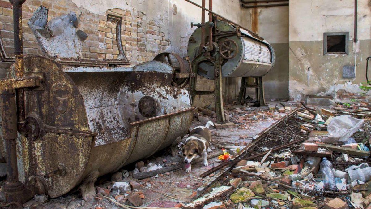 Ziyaret Etmenin Yasak Olduğu, Binlerce İnsana Mezar Olan ’Hayaletli Ada’ Poveglia’nın Gerçek Hikayesi