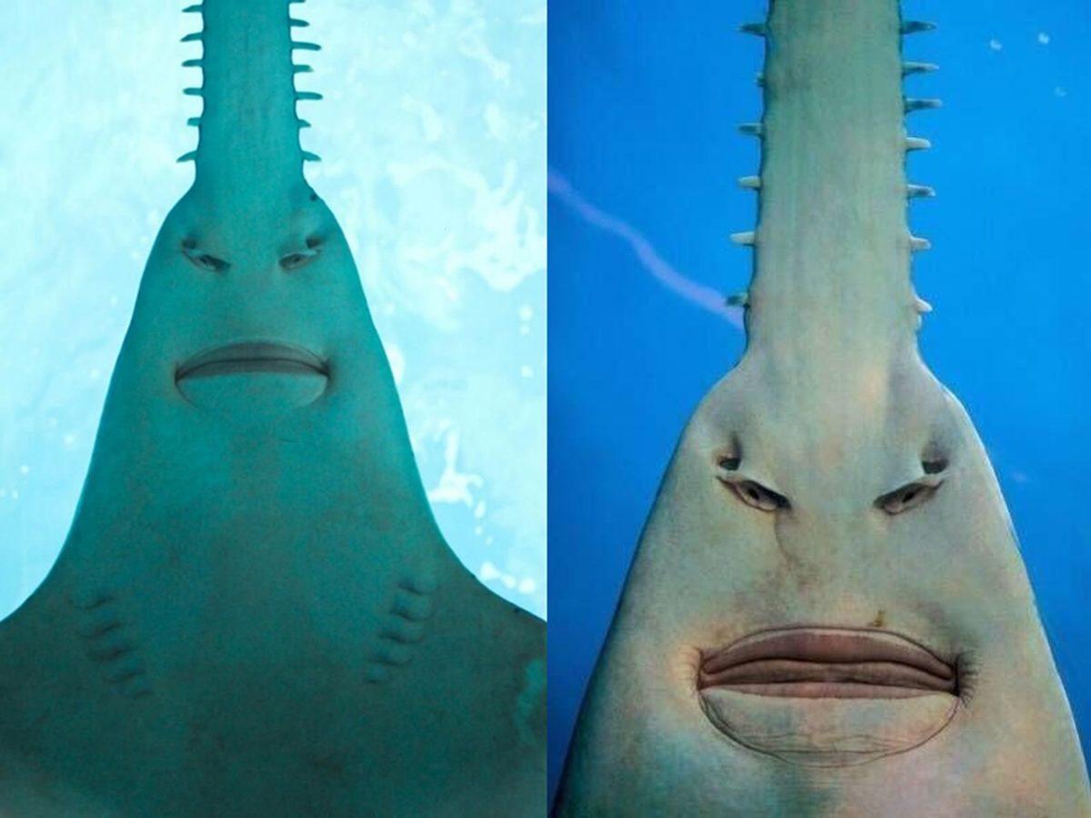 Görünce ’İnternete Bunun İçin Para Ödüyorum’ Demenize Neden Olacak 20 Sıra Dışı Görüntü