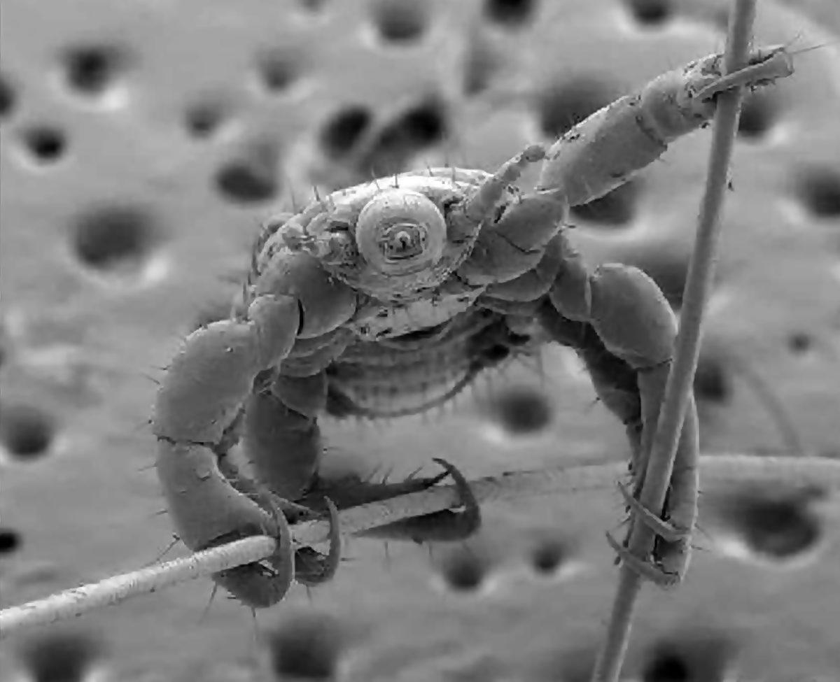 Görünce ’İnternete Bunun İçin Para Ödüyorum’ Demenize Neden Olacak 20 Sıra Dışı Görüntü