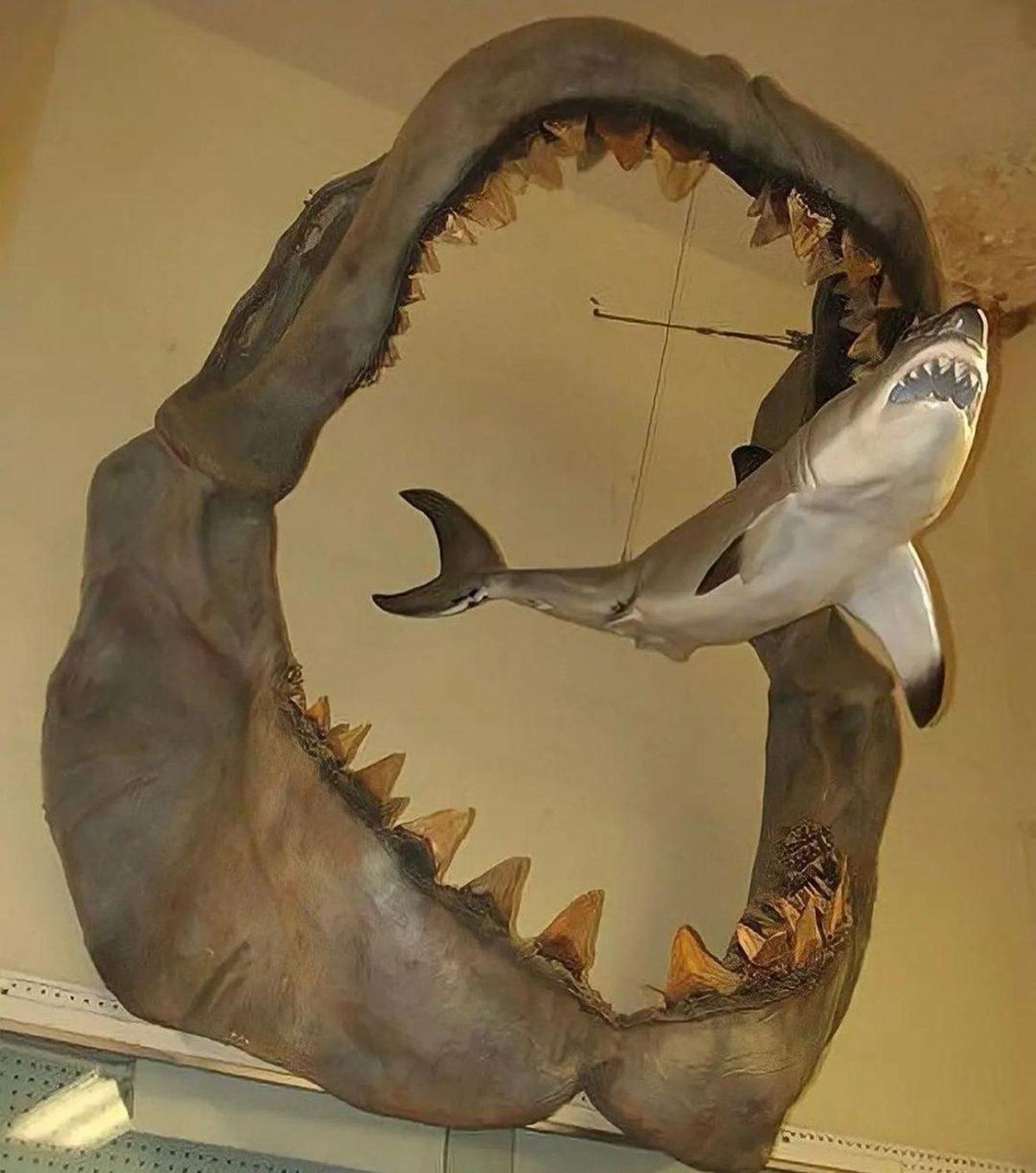 Görünce ’İnternete Bunun İçin Para Ödüyorum’ Demenize Neden Olacak 20 Sıra Dışı Görüntü