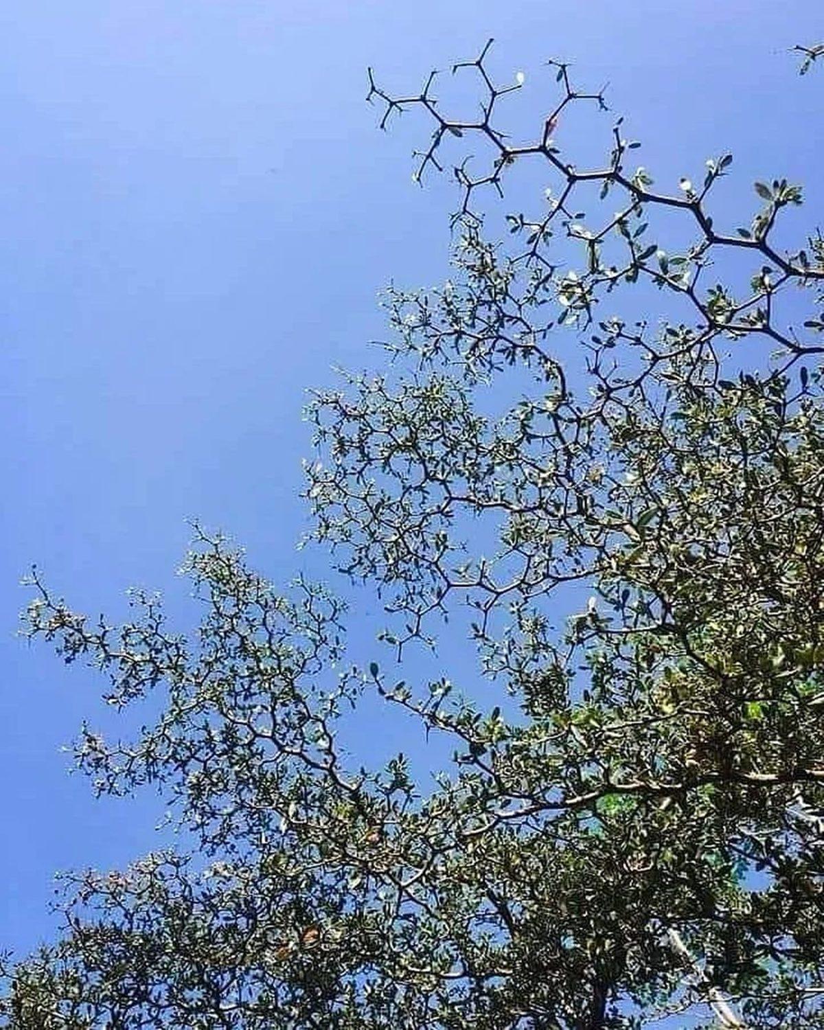 Görünce ’İnternete Bunun İçin Para Ödüyorum’ Demenize Neden Olacak 20 Sıra Dışı Görüntü