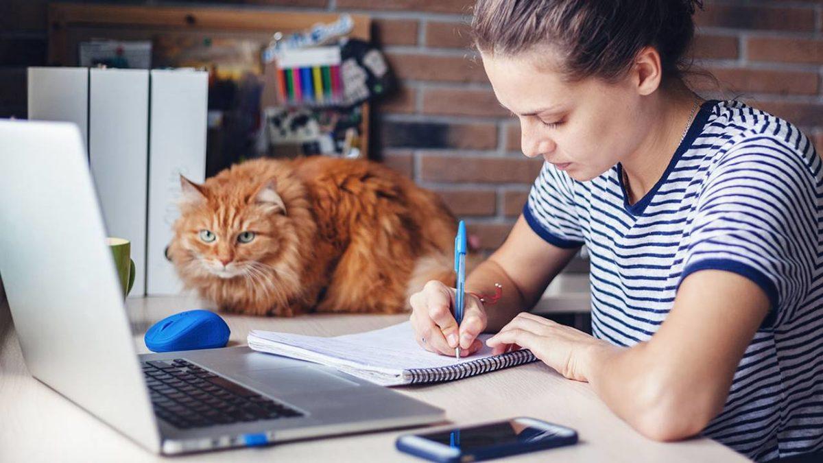 Harvard Üniversitesi: Evli ve Çocuklu İnsanlar Ofise Daha Çok Dönmek İstiyor