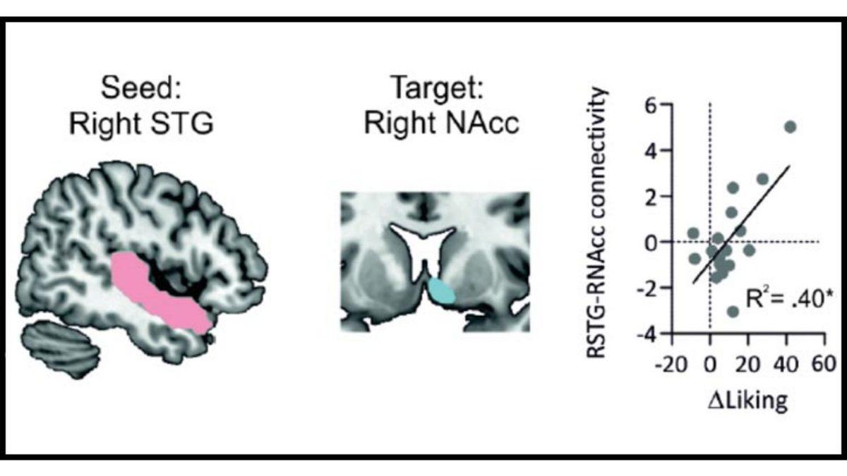 Bilim İnsanları, Müzik Dinlemekten Neden 