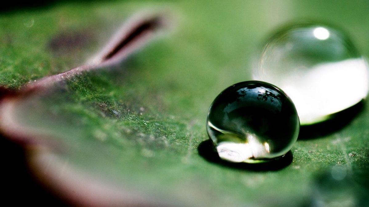 Kimyadan Mühendisliğe Kadar Pek Çok Alanda Karşılaştığımız Kohezyon ve Adezyon Nedir, Farkları Nelerdir? Örnekleriyle Açıkladık