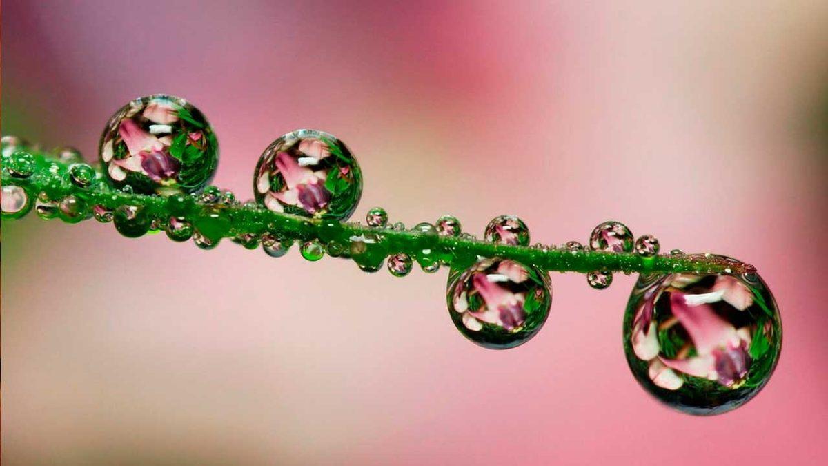 Kimyadan Mühendisliğe Kadar Pek Çok Alanda Karşılaştığımız Kohezyon ve Adezyon Nedir, Farkları Nelerdir? Örnekleriyle Açıkladık