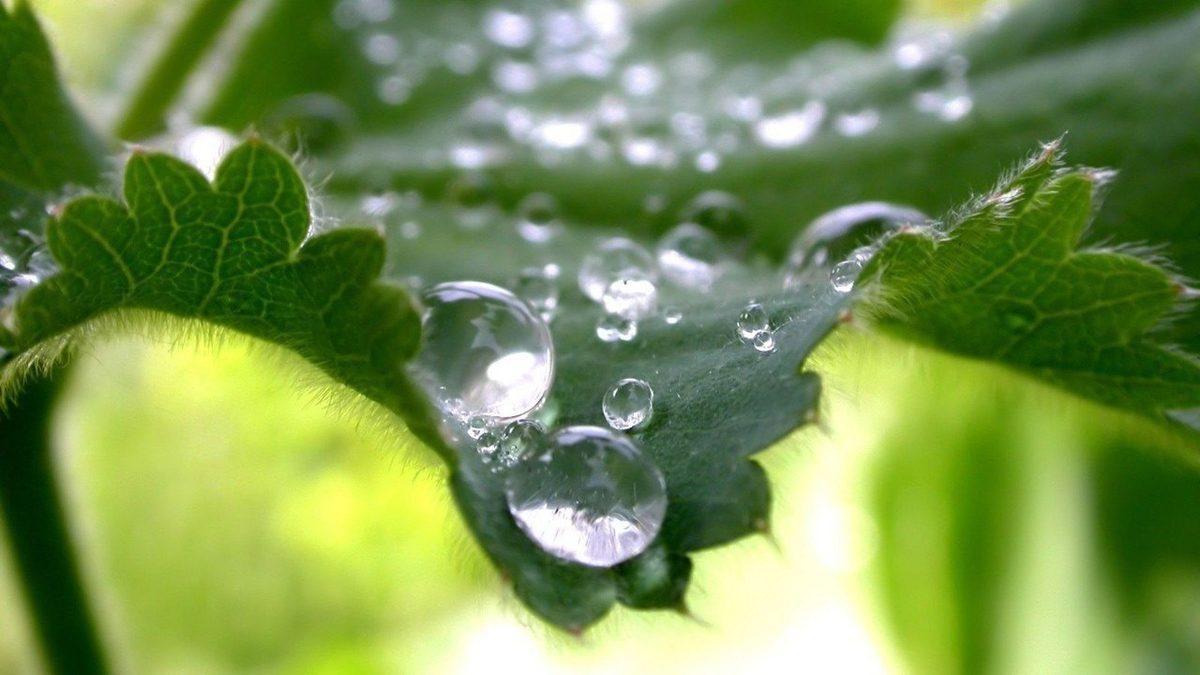 Kimyadan Mühendisliğe Kadar Pek Çok Alanda Karşılaştığımız Kohezyon ve Adezyon Nedir, Farkları Nelerdir? Örnekleriyle Açıkladık