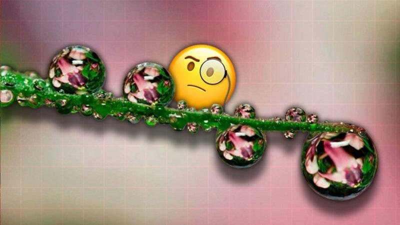 Kimyadan Mühendisliğe Kadar Pek Çok Alanda Karşılaştığımız Kohezyon ve Adezyon Nedir, Farkları Nelerdir? Örnekleriyle Açıkladık