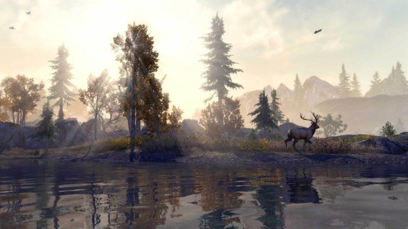 The Elder Scrolls Online, PS5 ve Xbox Series X’e Geliyor: İşte Çıkış Tarihi