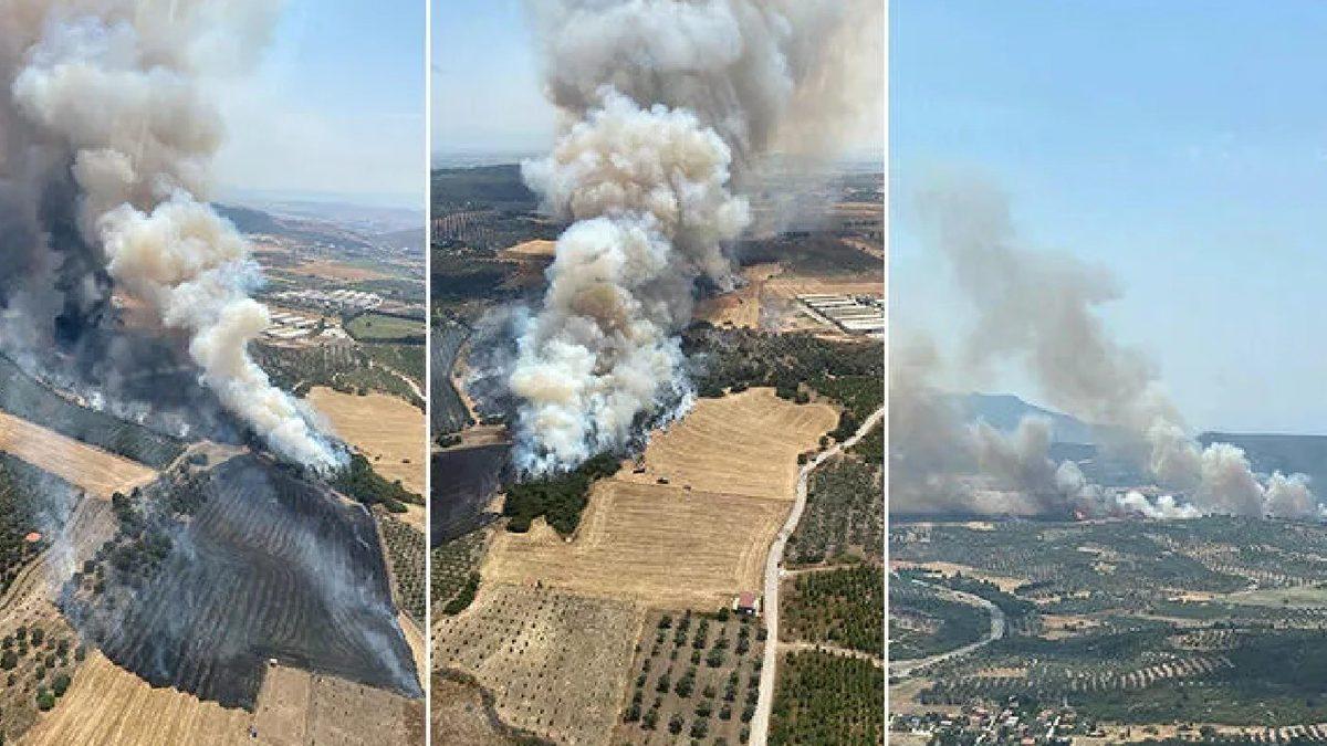 İzmir’deki Orman Yangınları Kontrol Altına Alındı: Onlarca Hektarlık Alan Zarar Gördü (Güncelleme)