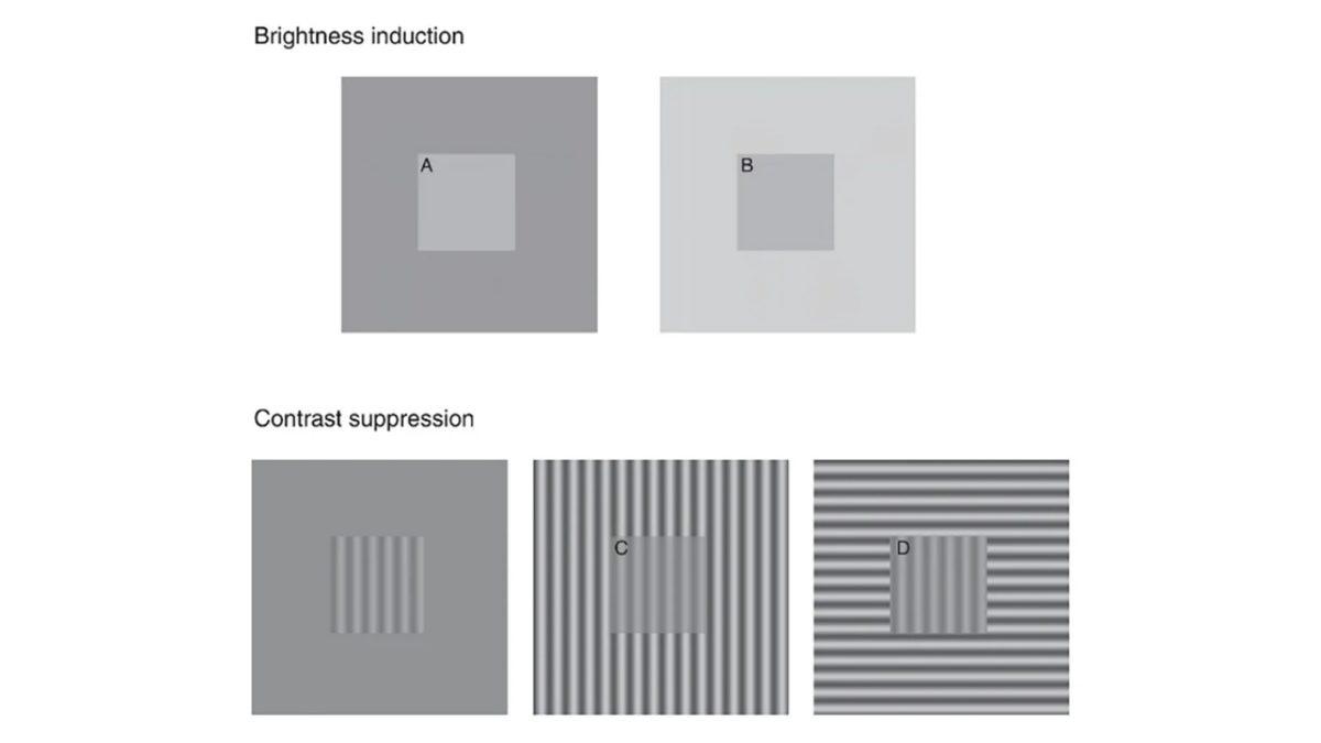 Yeni Bir Araştırmaya Göre Depresyonlu Kişiler, Dünyayı Farklı Görüyorlar