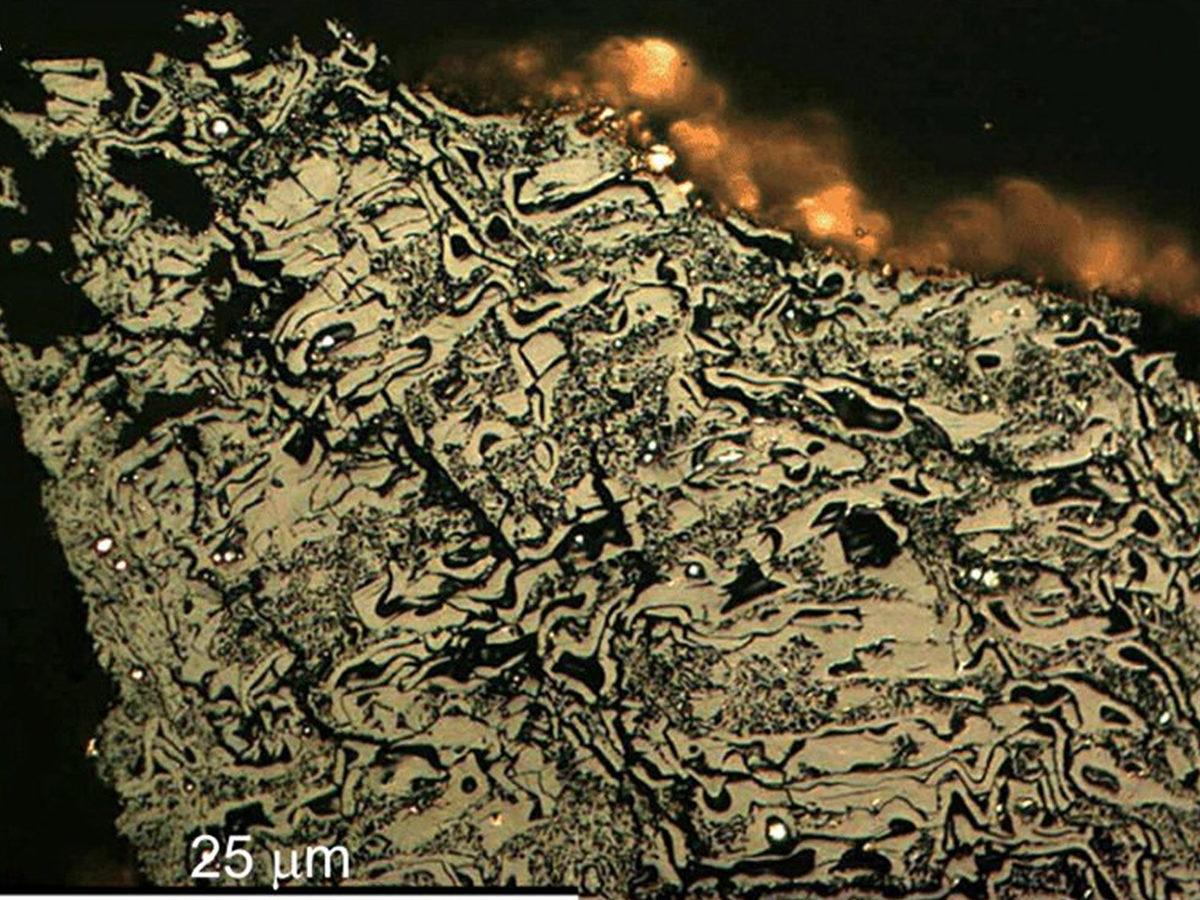 Tarihin En Eski Yangını Keşfedildi: Yüz Milyonlarca Yıl Önce Meydana Gelmiş!