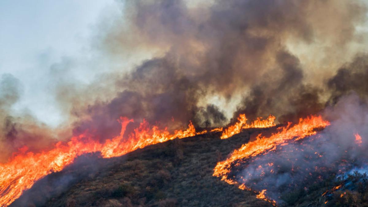 Tarihin En Eski Yangını Keşfedildi: Yüz Milyonlarca Yıl Önce Meydana Gelmiş!