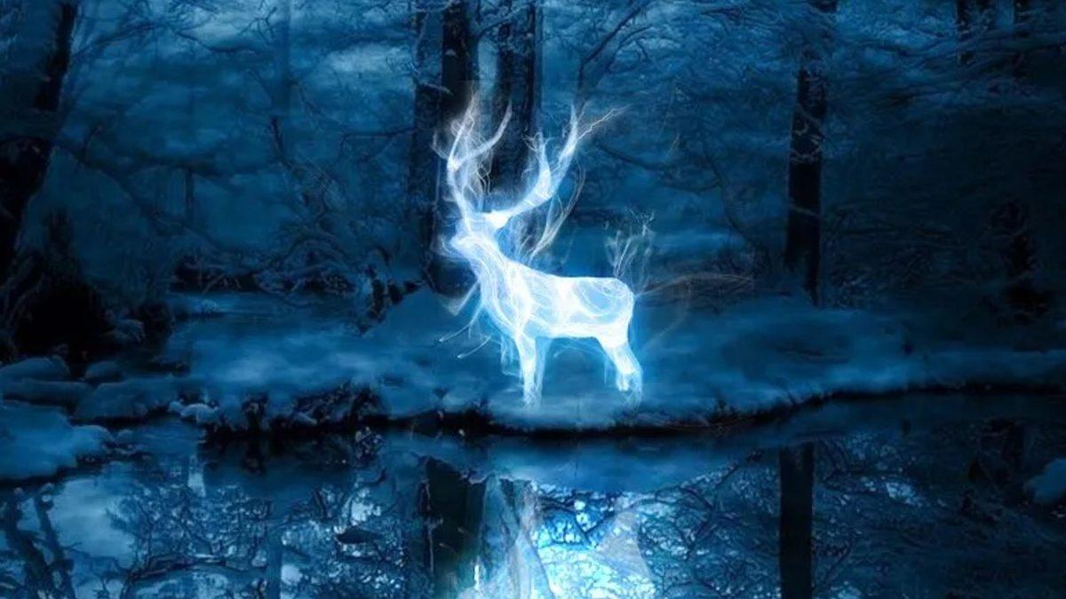 Bu Zorlu Harry Potter Testinde Kaçta Kaç Yapabileceksin?