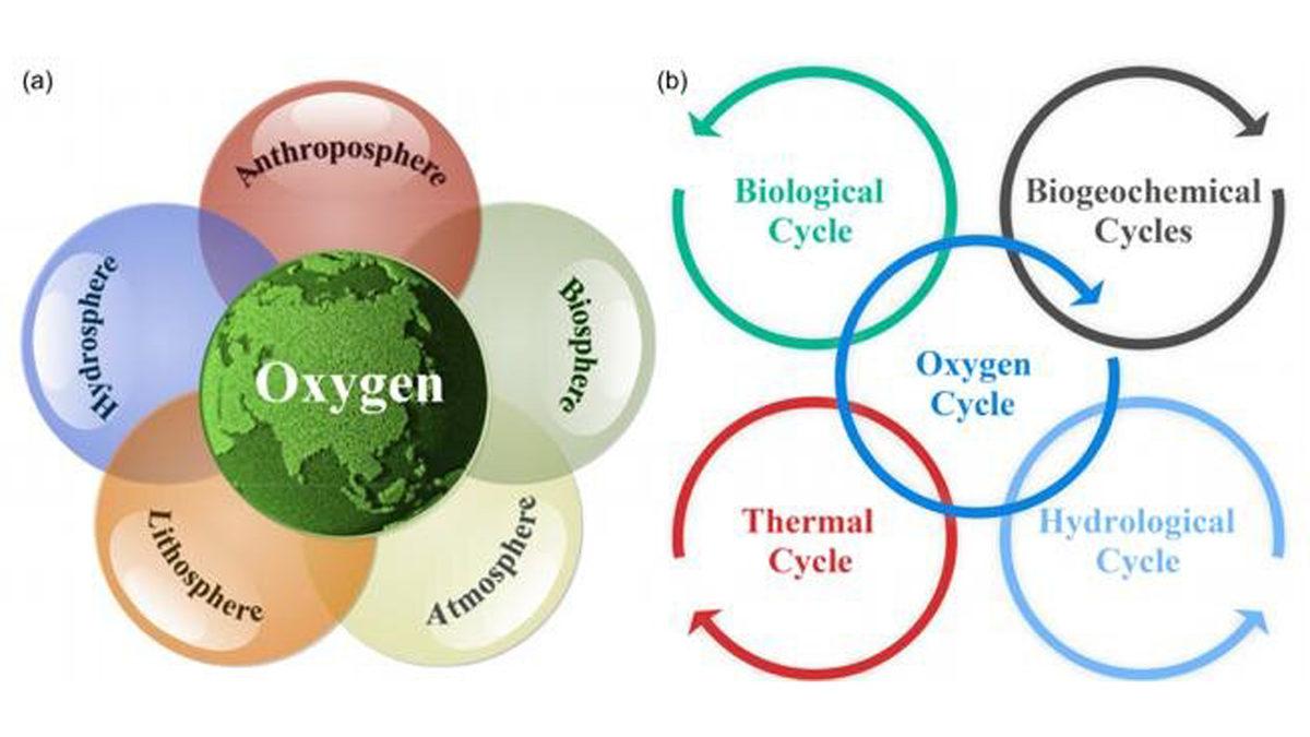 Yeni Bir Araştırma, Oksijen Döngüsünün Dünya’nın Yaşanabilirliği Üzerindeki Etkisini Açıklıyor