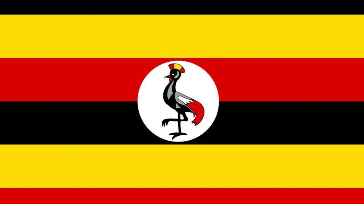 Ülke Bayraklarının İlk Görüşte Anlaşılmayan Hikaye ve Anlamları