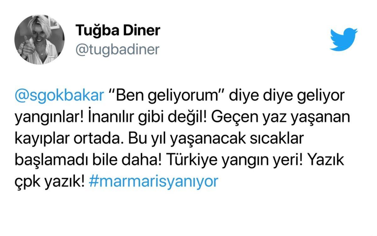 Marmaris’te Başlayan Yangın Hızla Yayılıyor: Havadan Müdahale Edilmediği İddiaları Tepkilere Sebep Oldu