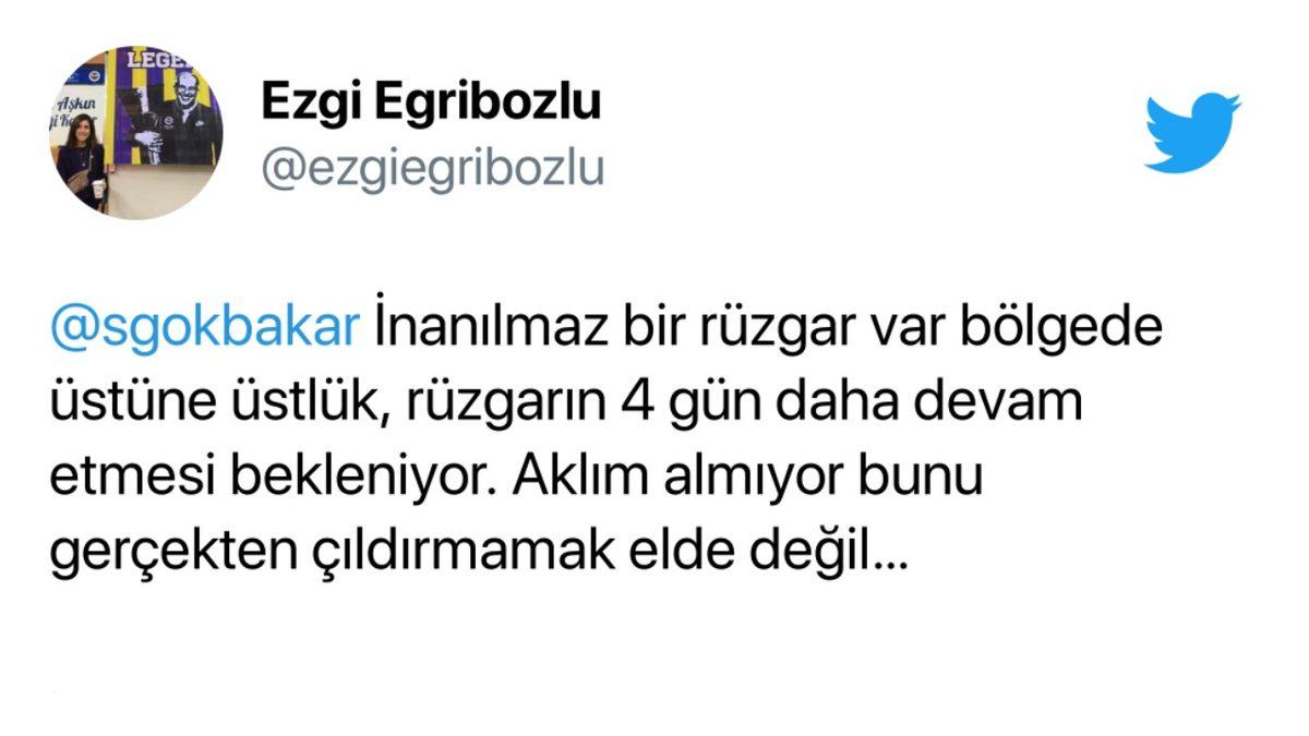 Marmaris’te Başlayan Yangın Hızla Yayılıyor: Havadan Müdahale Edilmediği İddiaları Tepkilere Sebep Oldu