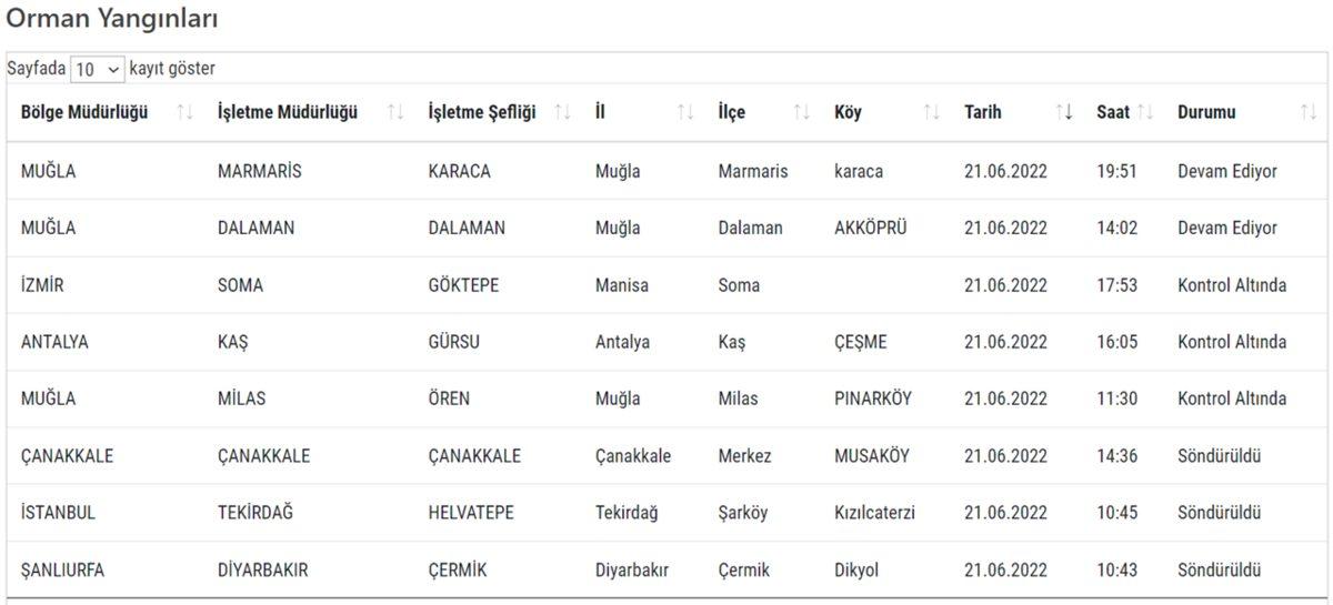 Uçaklar Nerede? Geçen Yazki Orman Yangınlarından Ders Alınmadığını, Bir Dejavu Yaşayabileceğimizi Gösteren Kanıtlar