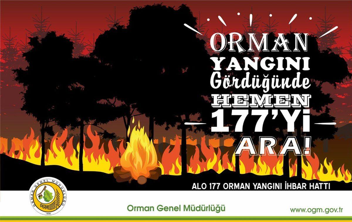 Uçaklar Nerede? Geçen Yazki Orman Yangınlarından Ders Alınmadığını, Bir Dejavu Yaşayabileceğimizi Gösteren Kanıtlar