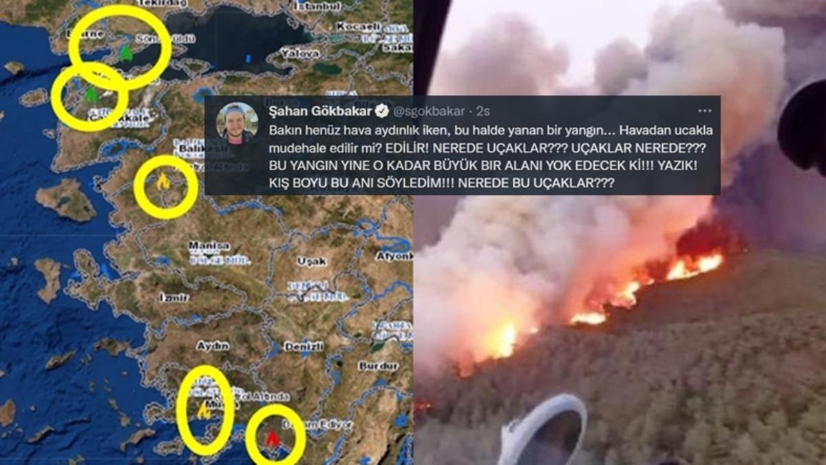 Uçaklar Nerede? Geçen Yazki Orman Yangınlarından Ders Alınmadığını, Bir Dejavu Yaşayabileceğimizi Gösteren Kanıtlar