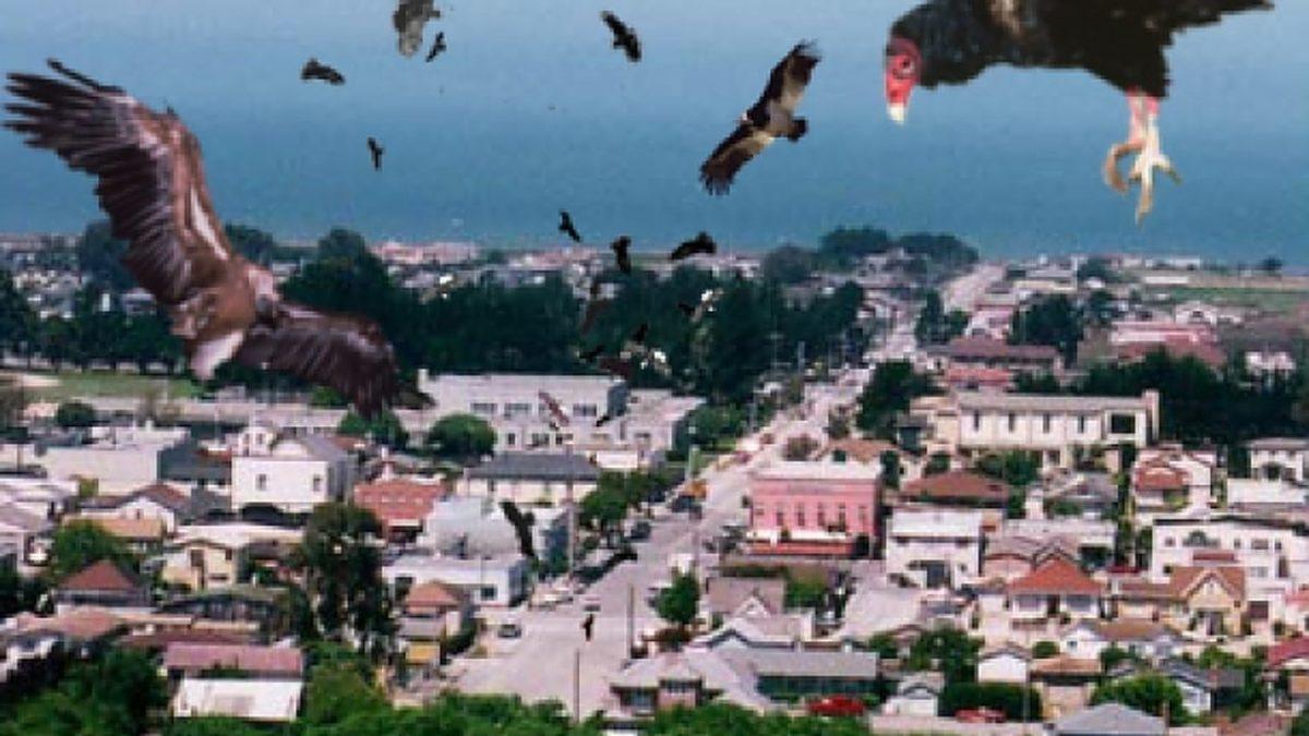 Rezillikten Kült Olan Filmler #1: Görsel Efektleriyle Gözleri Kanatan Film ’Birdemic’