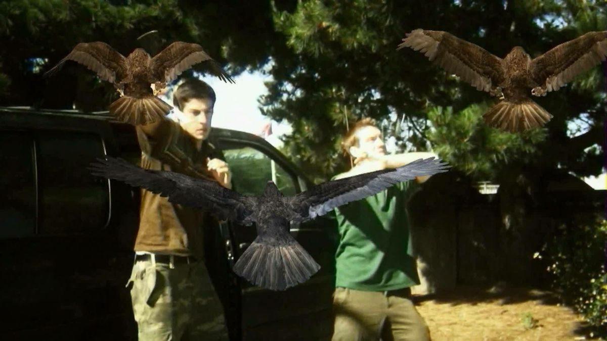 Rezillikten Kült Olan Filmler #1: Görsel Efektleriyle Gözleri Kanatan Film ’Birdemic’