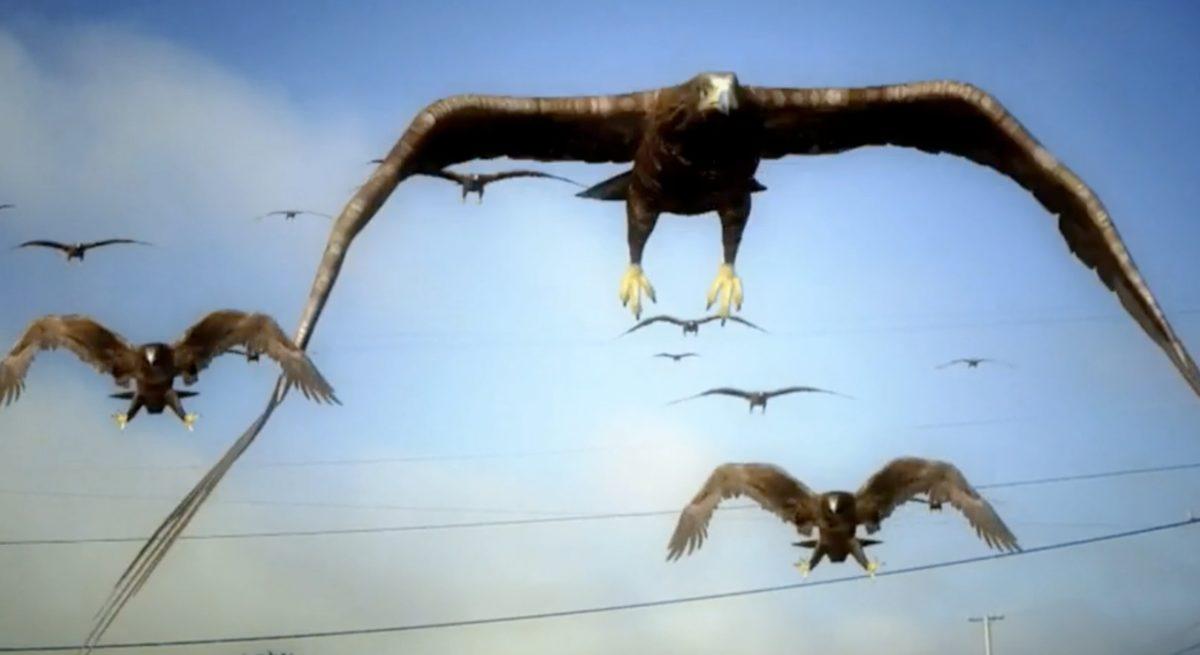 Rezillikten Kült Olan Filmler #1: Görsel Efektleriyle Gözleri Kanatan Film ’Birdemic’