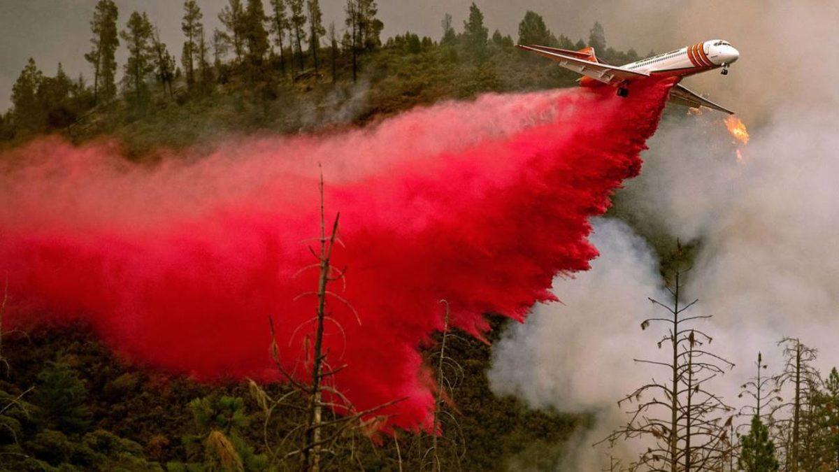 Orman Yangınlarına Müdahalede Uçaklardan Bırakılan Kırmızı Karışım Tam Olarak Nedir?