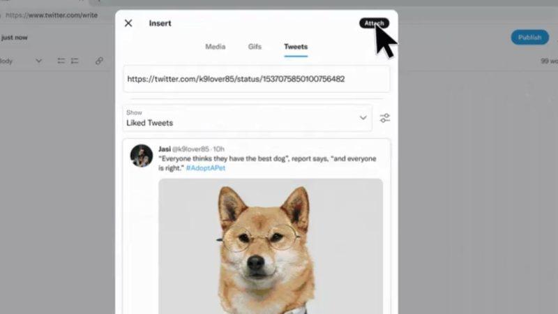 Twitter, Makale Uzunluğunda Tweetler Atmanızı Sağlayan Yeni Özelliğini Duyurdu: Floodlar Tarih Oluyor