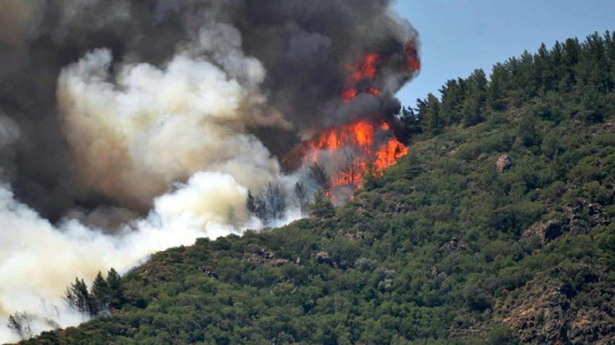 Tarım ve Orman Bakanı, Marmaris Yangınında Sabotaj İddialarına Yanıt Verdi: ’Bizim de Aklımıza Geliyor’