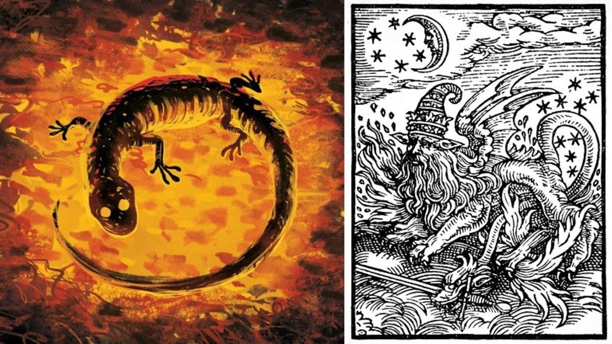 Süper Kahramanları Filmlerde Aramayın: İşte Hem Suda Hem de Karada Yaşayabilen ’Amfibi’ Canlılar ve Özellikleri