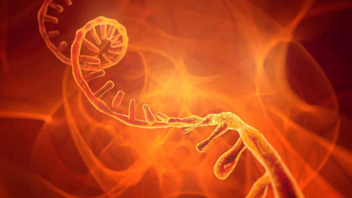 Biyoloji Kitaplarını Sil Baştan Yazdıracak Keşif: Yaşamın Temeli DNA ve RNA’ya Değil, XNA’ya Dayanıyor