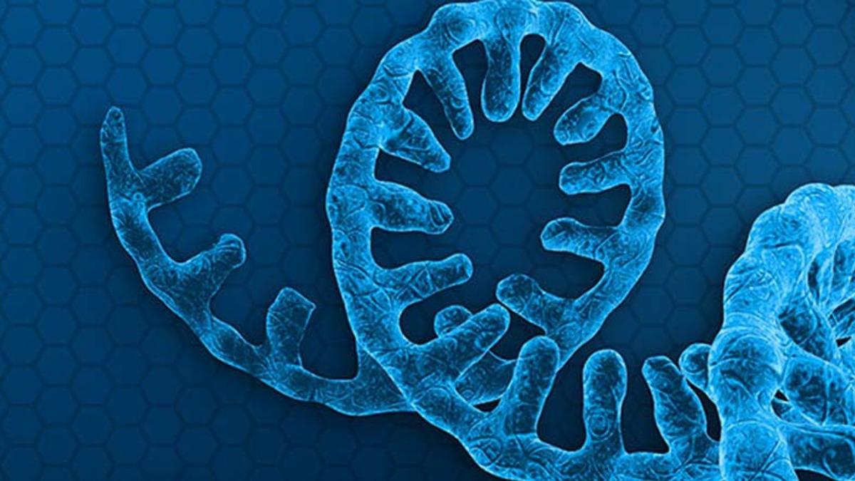 Biyoloji Kitaplarını Sil Baştan Yazdıracak Keşif: Yaşamın Temeli DNA ve RNA’ya Değil, XNA’ya Dayanıyor