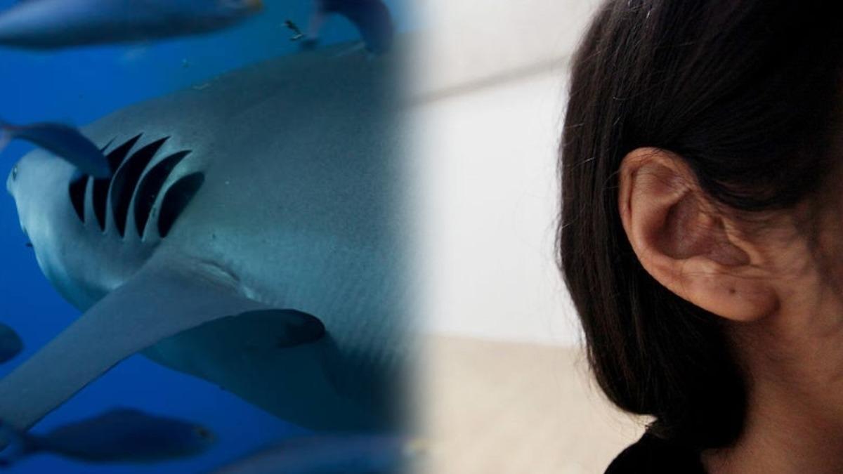 İnsan Orta Kulağının ’Balık Solungaçlarından’ Evrimleştiği Ortaya Çıktı