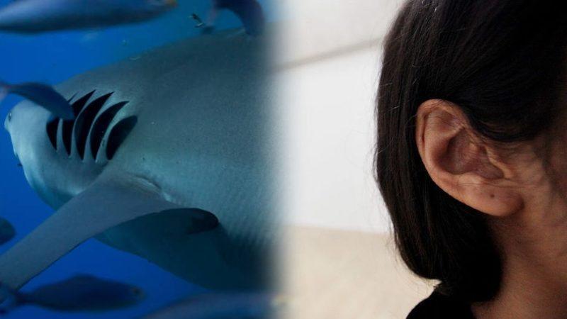 İnsan Orta Kulağının ’Balık Solungaçlarından’ Evrimleştiği Ortaya Çıktı